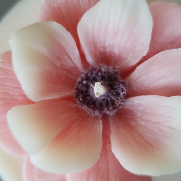 💥BUY 5 GET 3 FREE TERRARIUM SCENTED SOY CANDLE, RETAIL PRICE $29.00 - Picture 15 of 16